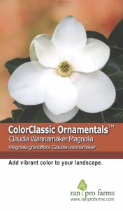 ColorClassic Ornamentals