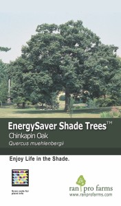 EnergySaver Shade